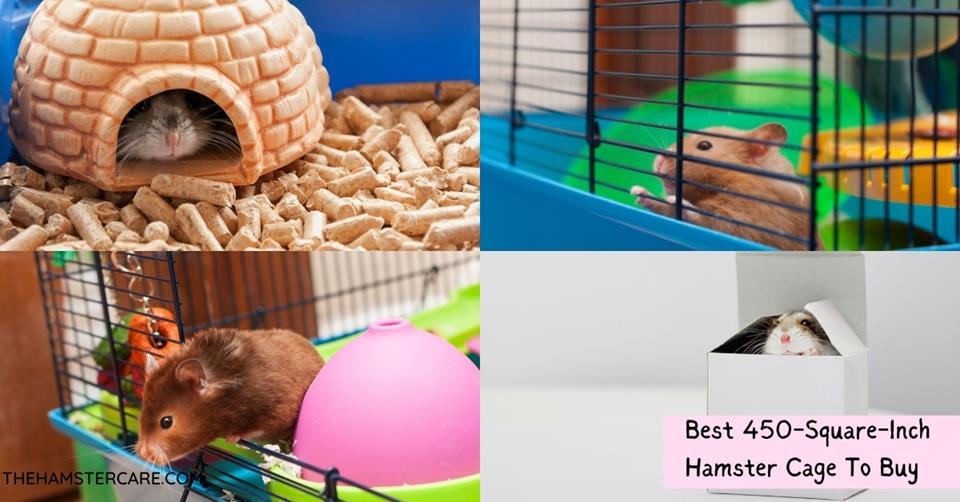 450 square inch cage hotsell