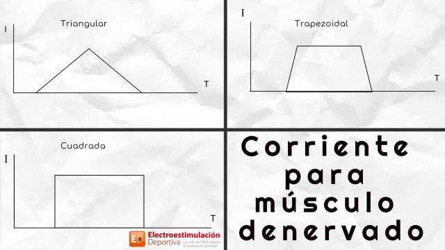 Estimulación muscular eléctrica en terapia física. Electrodos