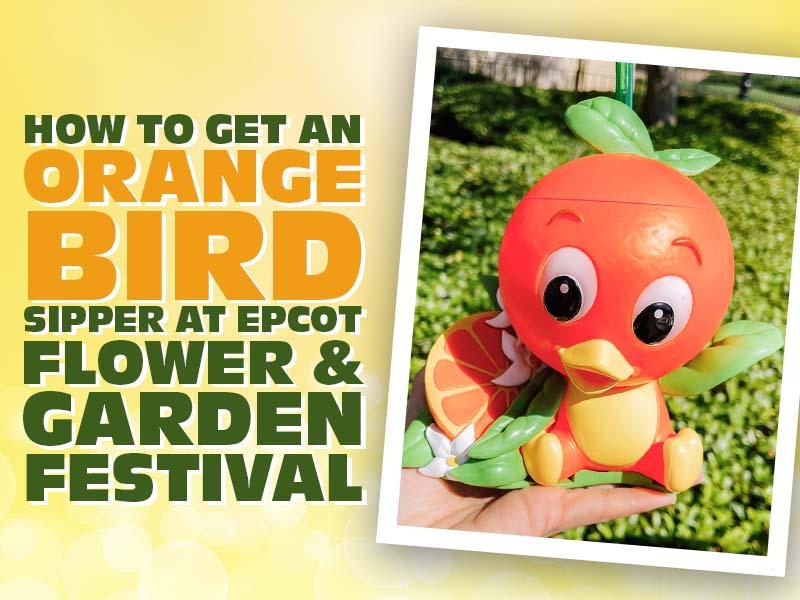 Super Cute Orange Bird Tupperware Spotted At Epcot!